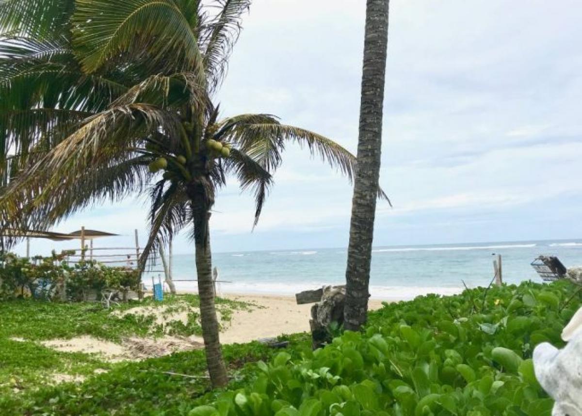 Picture of Home For Sale in Cabarete, Puerto Plata, Dominican Republic