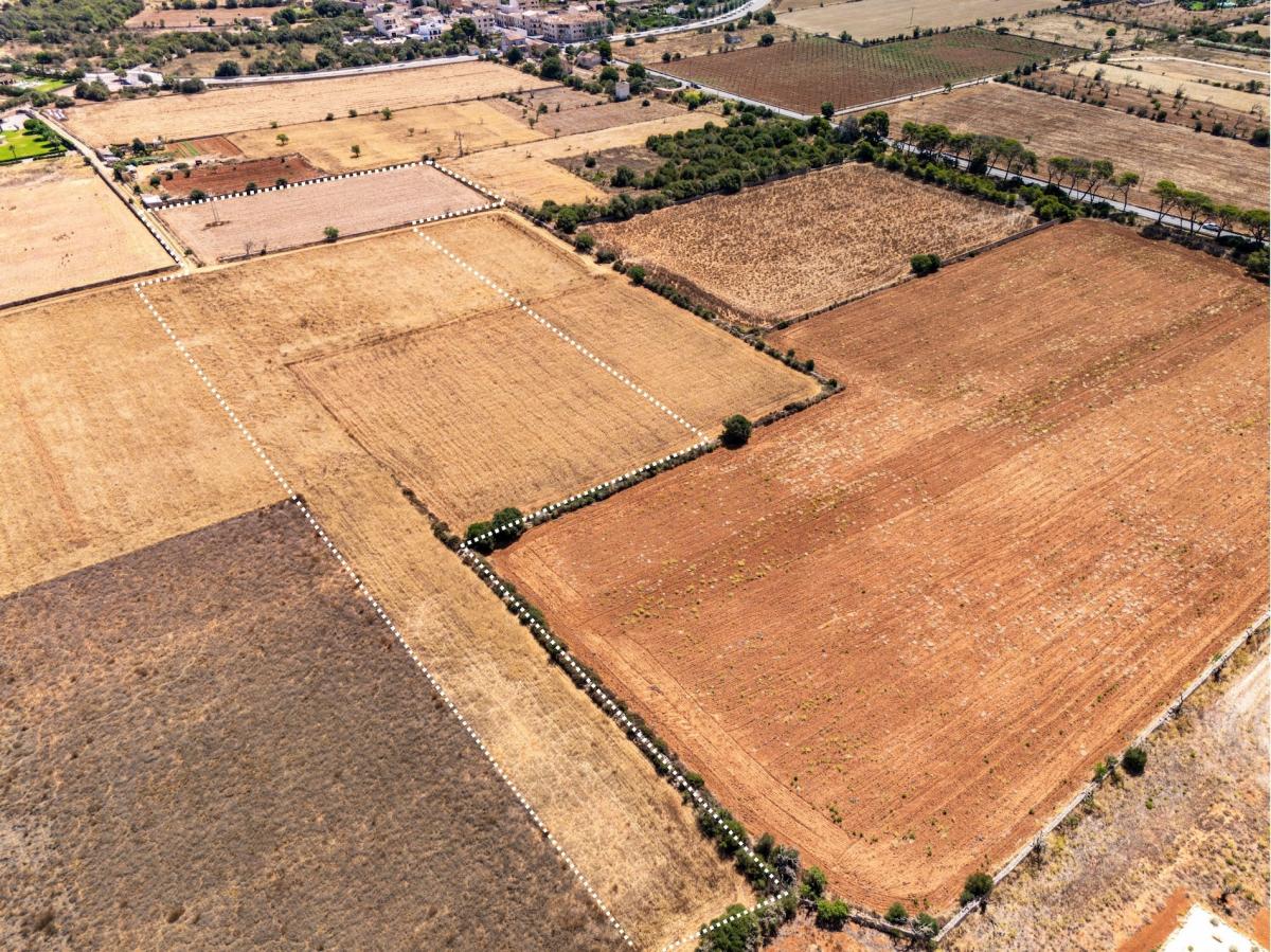 Picture of Home For Sale in Santanyi, Mallorca, Spain