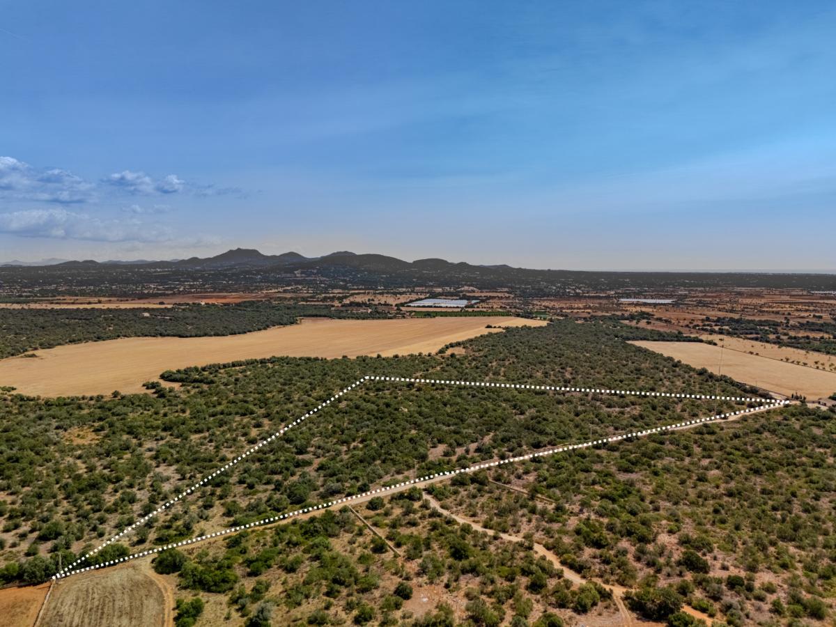 Picture of Home For Sale in Santanyi, Mallorca, Spain
