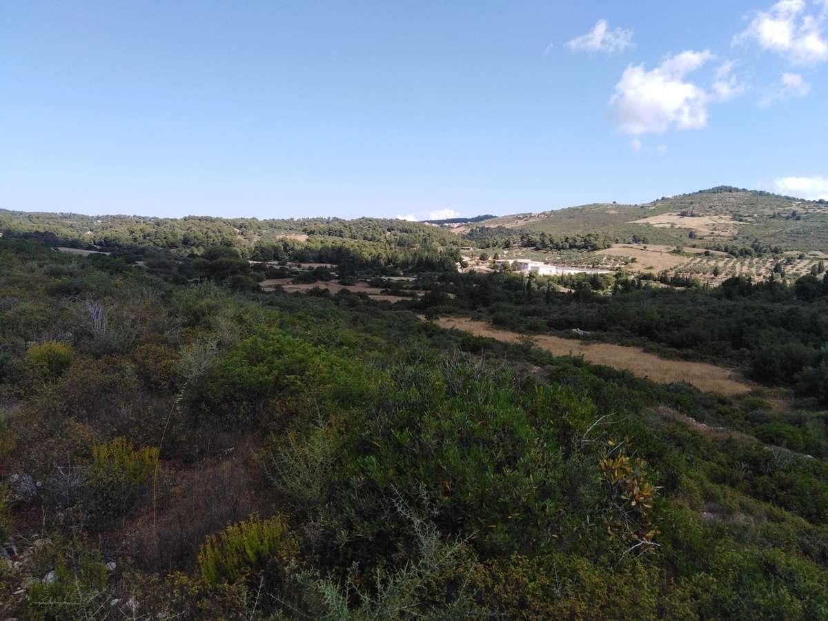 Picture of Residential Land For Sale in Zakinthos, Attica, Greece