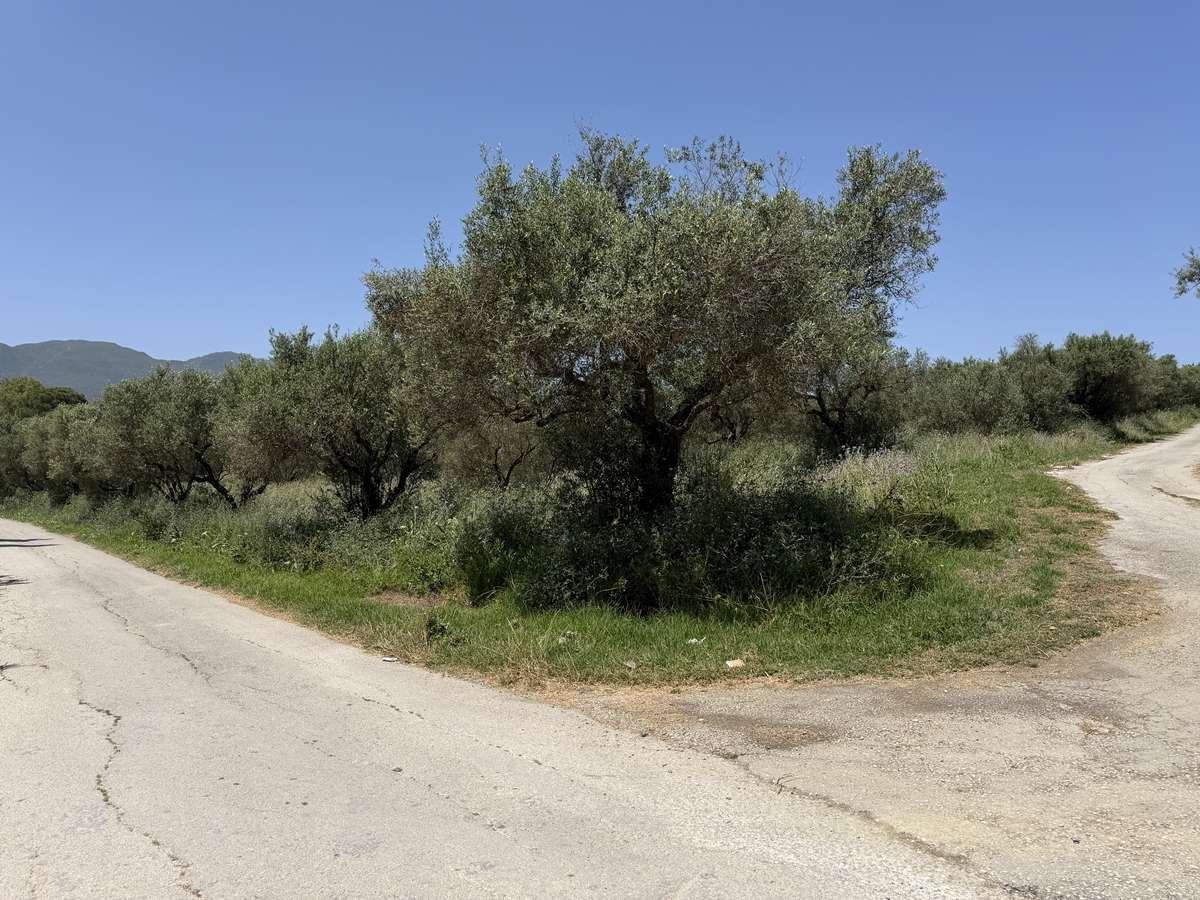 Picture of Residential Land For Sale in Zakinthos, Attica, Greece