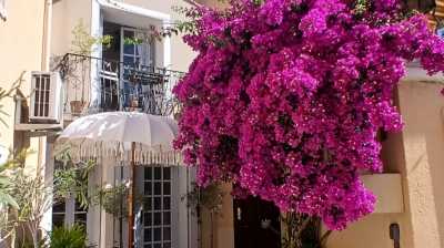 Home For Sale in Meze, France
