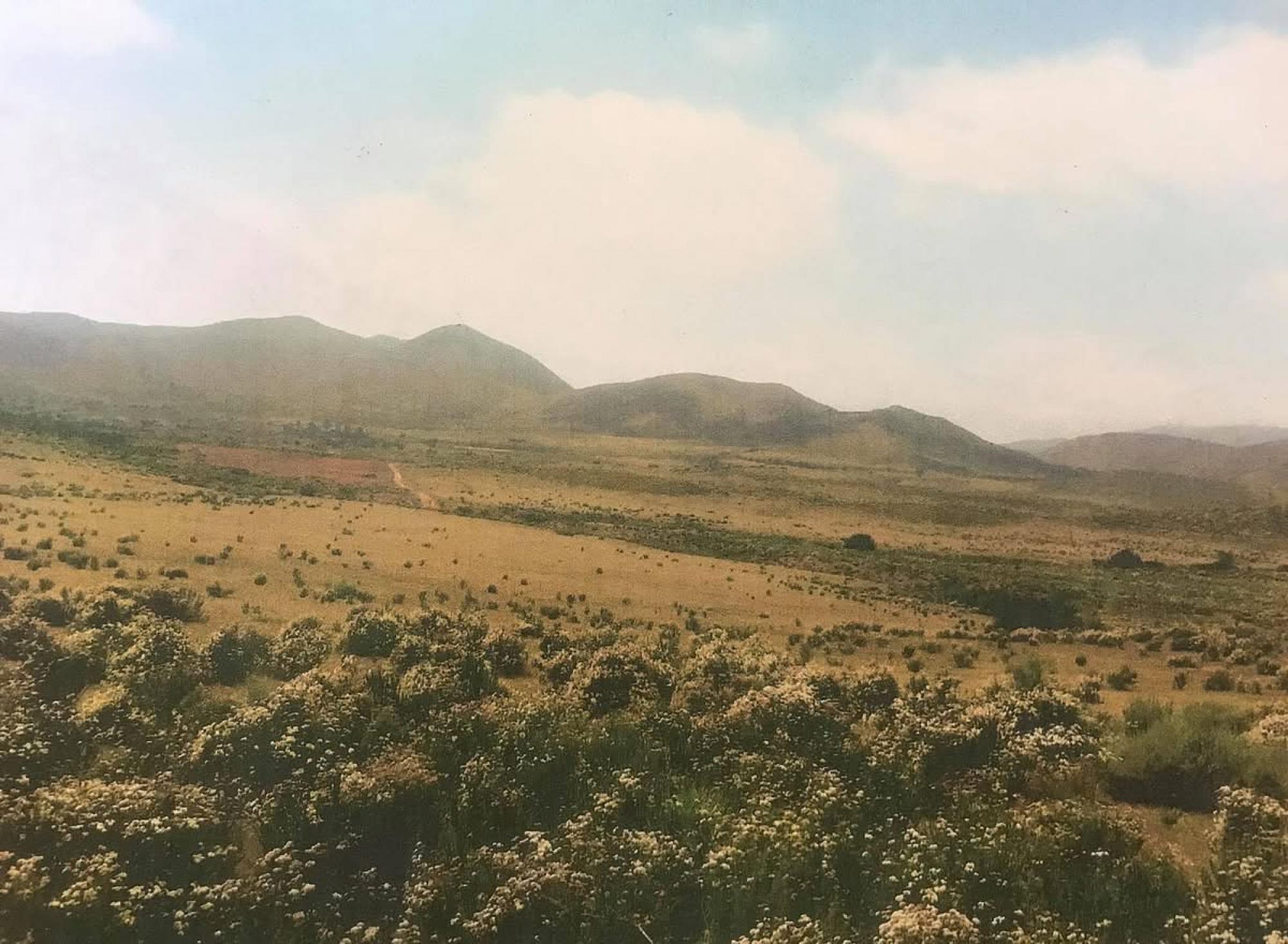 Picture of Mixed-Use Land For Sale in Ensenada, Baja California, Mexico