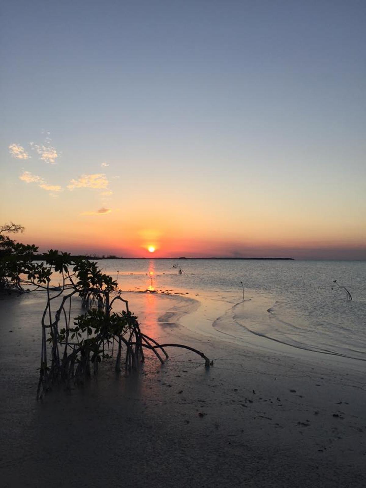 Picture of Commercial Land For Sale in Belize City, Belize, Belize