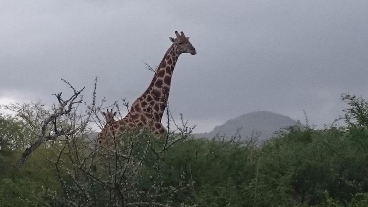 Picture of Commercial Land For Sale in Windhoek, Khomas, Namibia