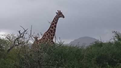 Commercial Land For Sale in Windhoek, Namibia