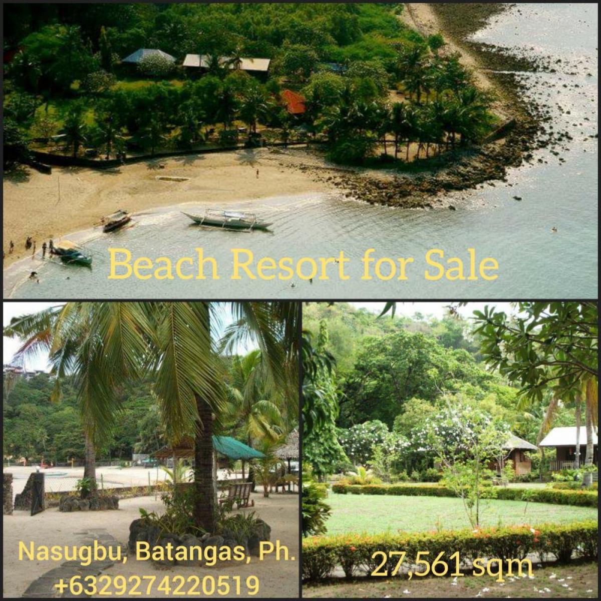 Picture of Residential Land For Sale in Puerto Princesa, Metro Manila, Philippines