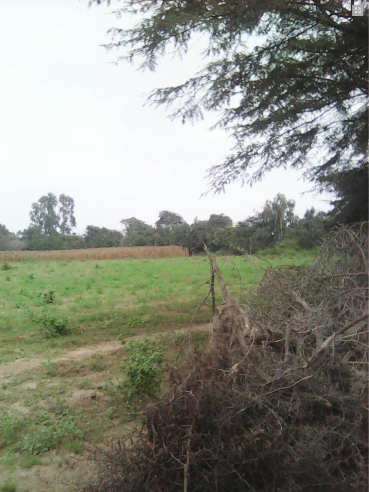 Picture of Commercial Land For Sale in Chincha Alta, Ica, Peru