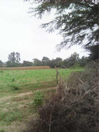 Commercial Land For Sale in Chincha Alta, Peru