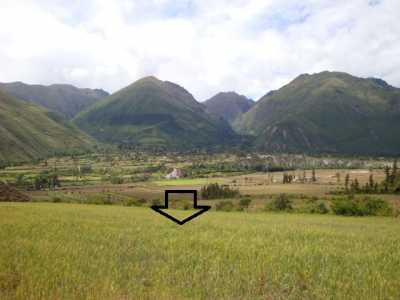 Commercial Land For Sale in 