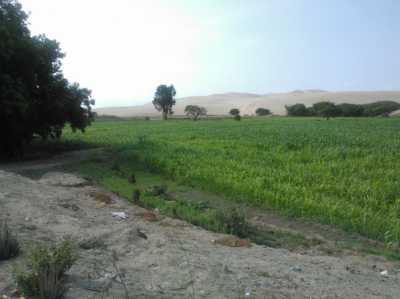 Commercial Land For Sale in 