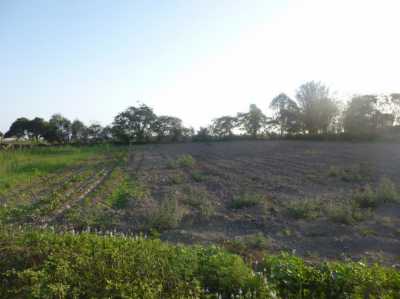 Commercial Land For Sale in 