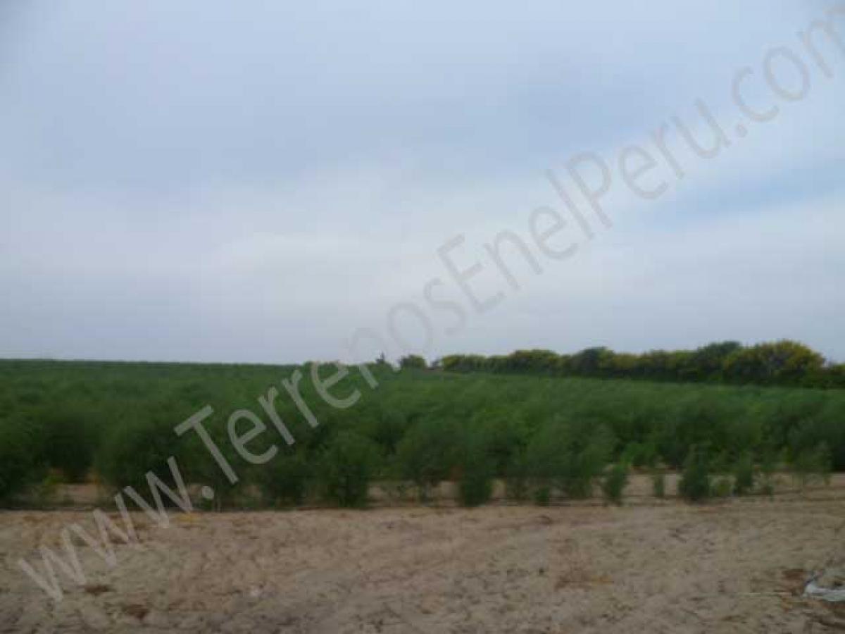 Picture of Commercial Land For Sale in Pisco, Ica, Peru