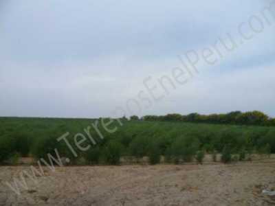 Commercial Land For Sale in 
