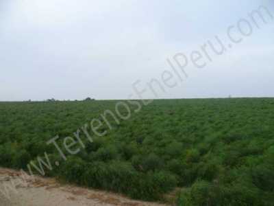 Commercial Land For Sale in 