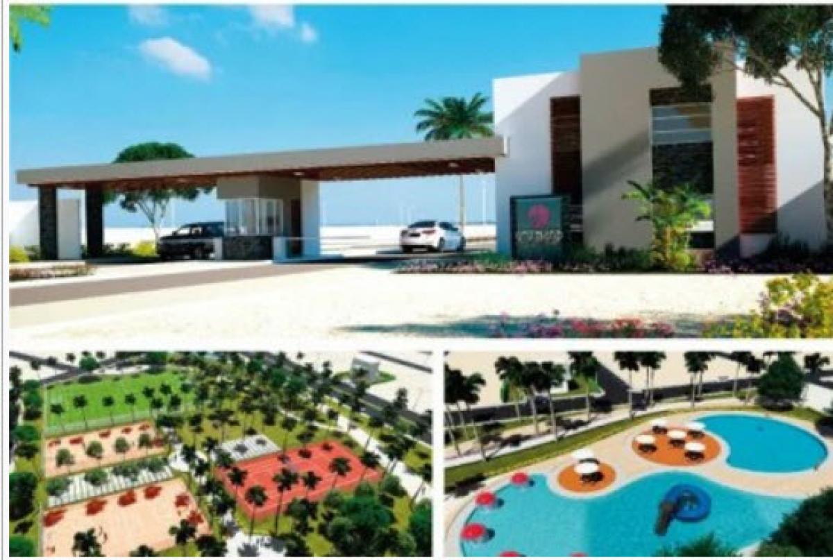 Picture of Commercial Land For Sale in Pisco, Ica, Peru