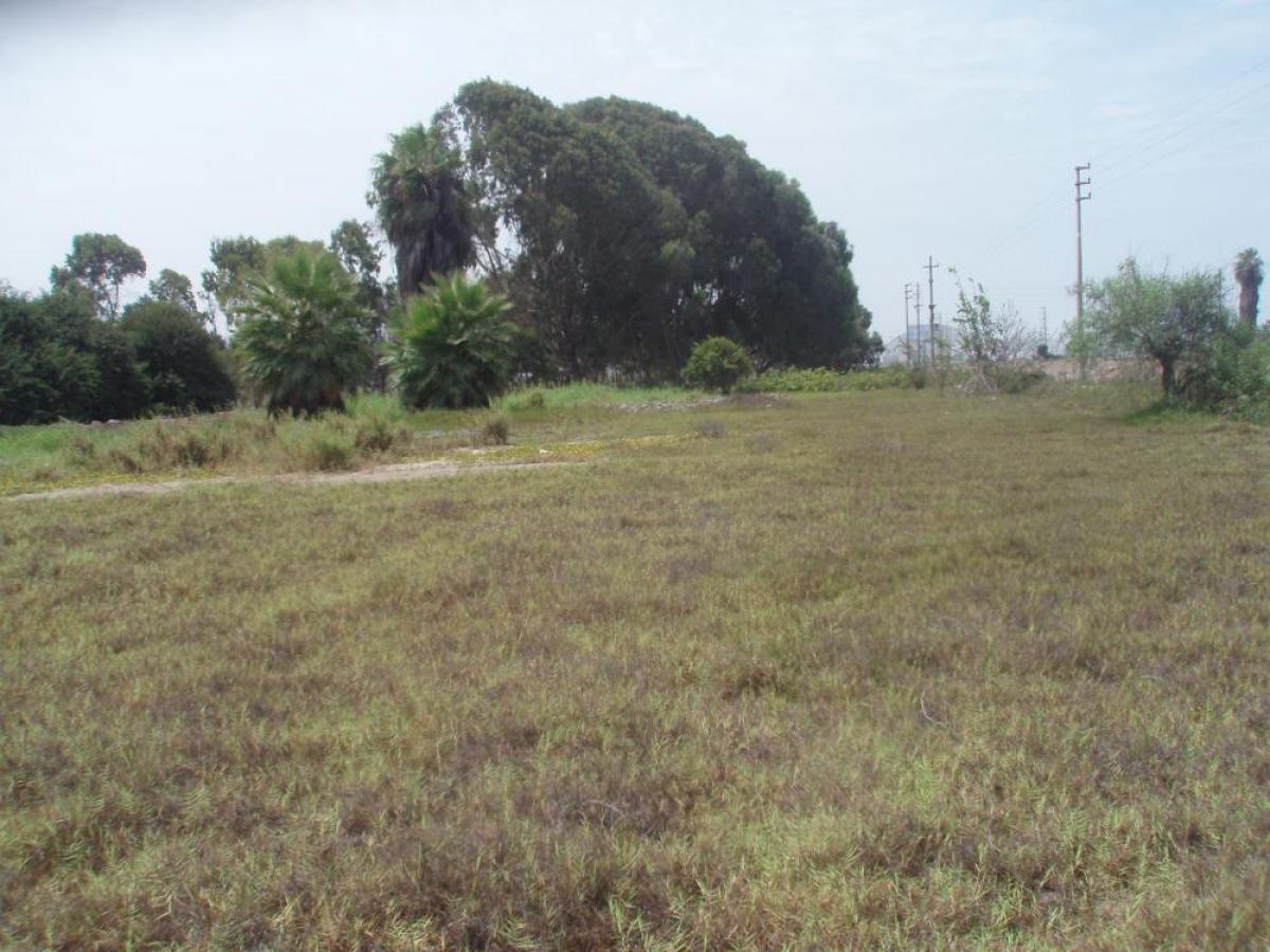 Picture of Commercial Land For Sale in Mala, Lima, Peru