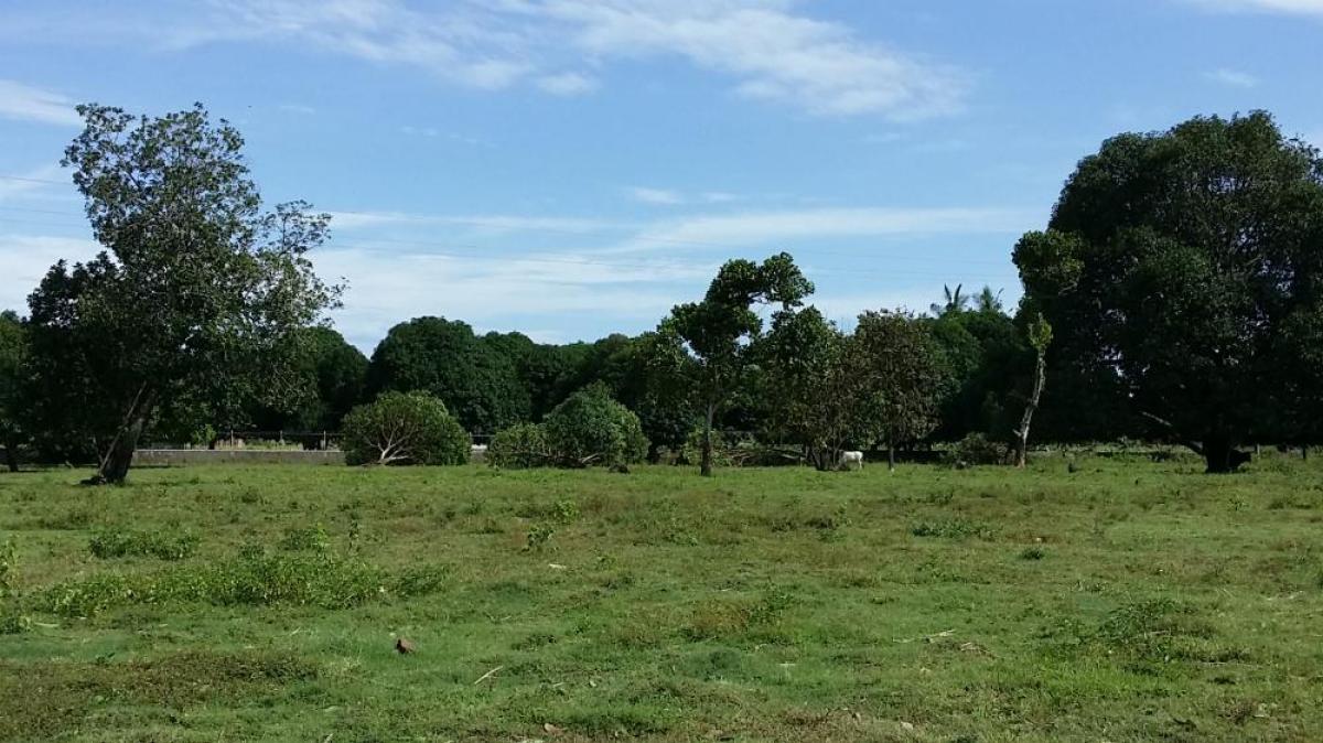 Picture of Farm For Sale in Cebu City, Cebu, Philippines