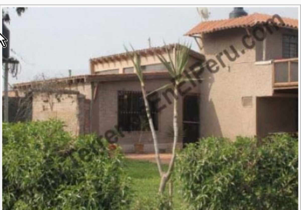 Beautiful Property with House and Corral for Horses, Mala, Lima, Peru
