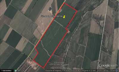 Commercial Land For Sale in Imperial, Peru