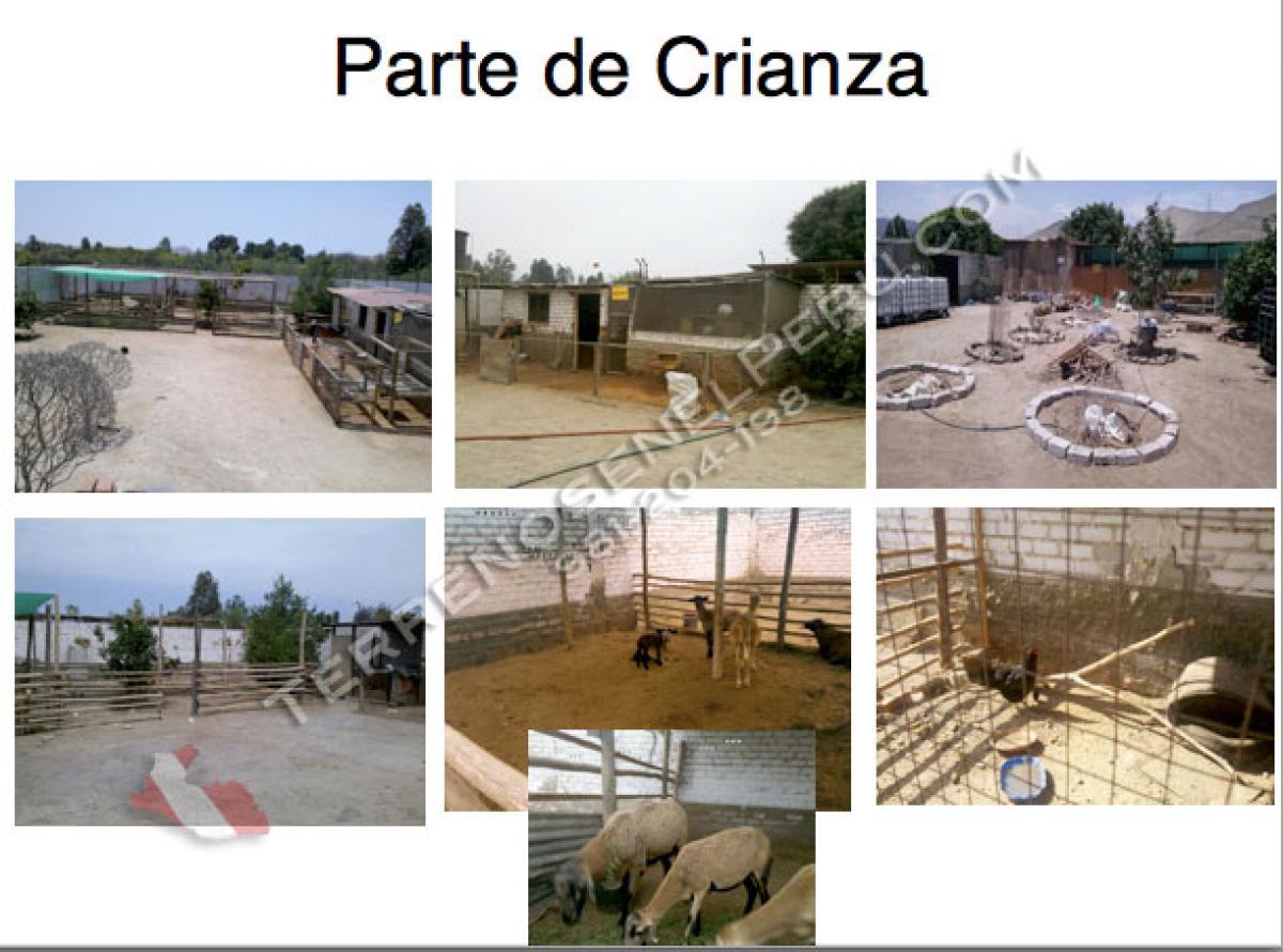 Picture of Commercial Land For Sale in Chilca, Lima, Peru