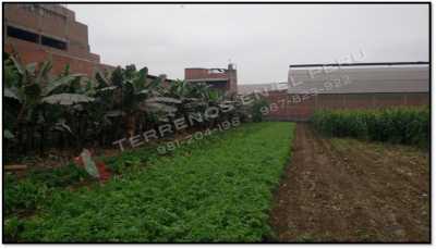 Commercial Land For Sale in 