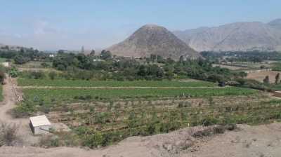 Commercial Land For Sale in 