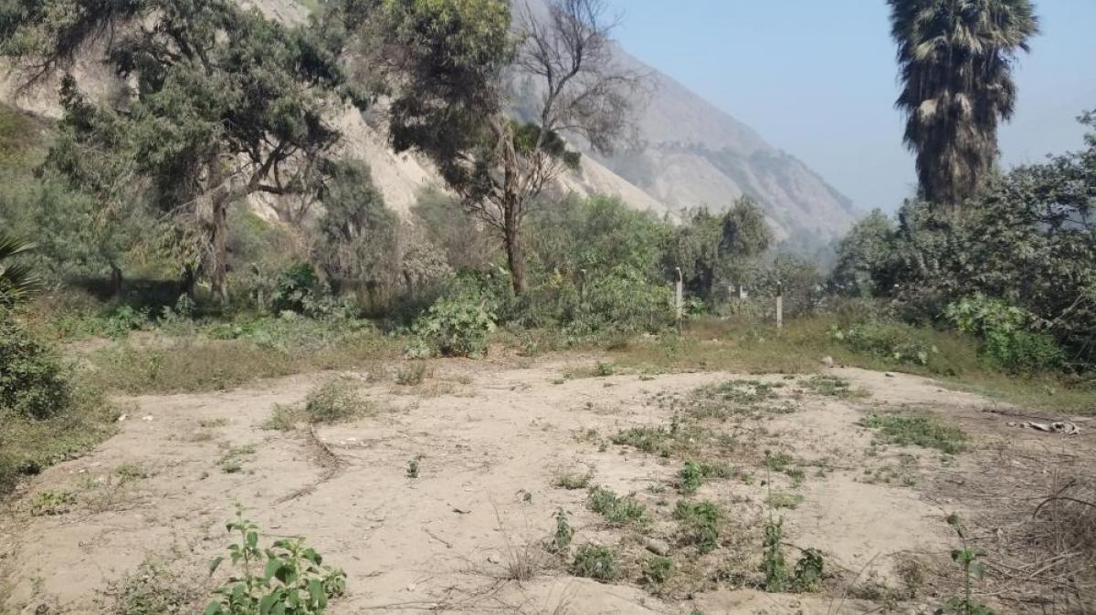 Beautiful country side Lot in Chosica of 5000 m2 (1.23 Acres), Chosica