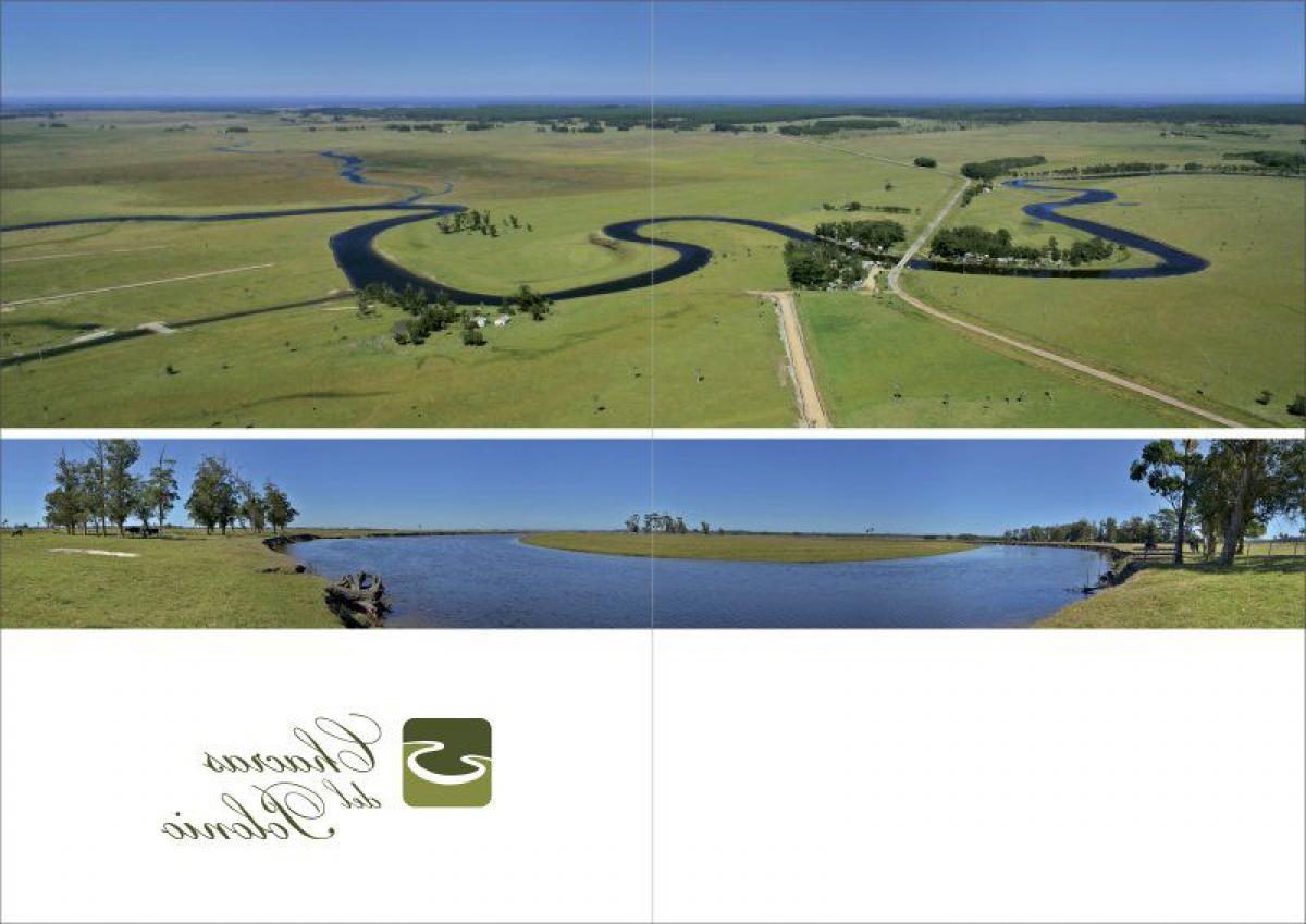 Picture of Farm For Sale in Rocha, Rocha, Uruguay
