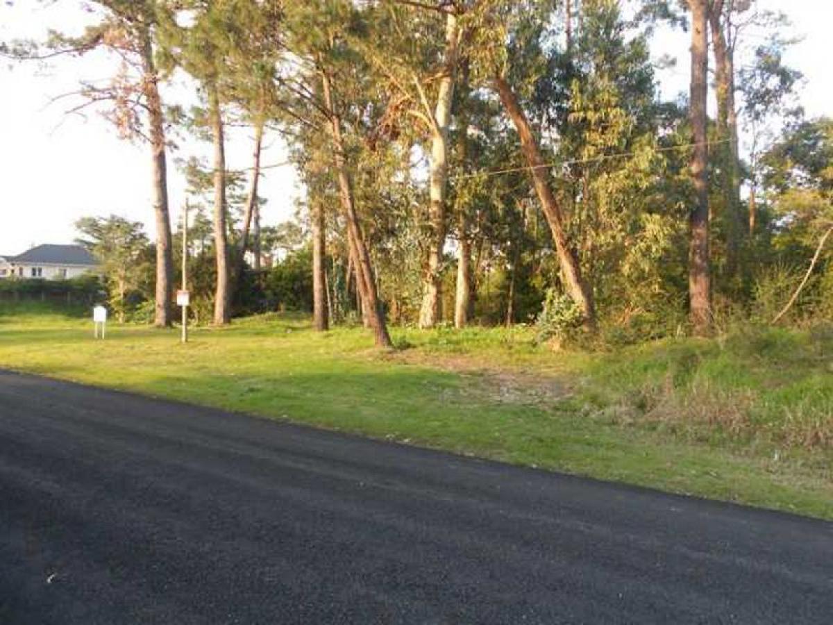 Picture of Residential Land For Sale in Maldonado, Maldonado, Uruguay