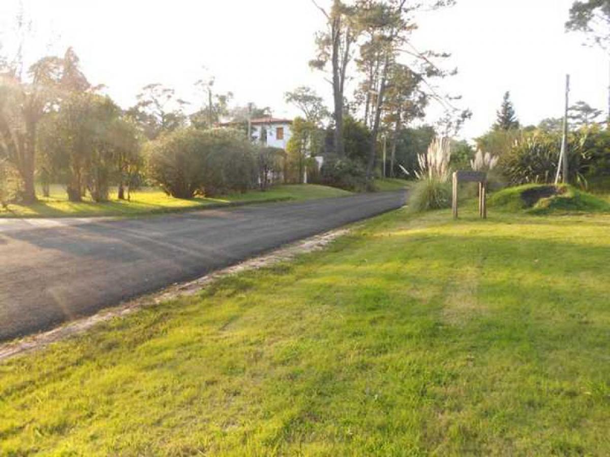 Picture of Residential Land For Sale in Maldonado, Maldonado, Uruguay