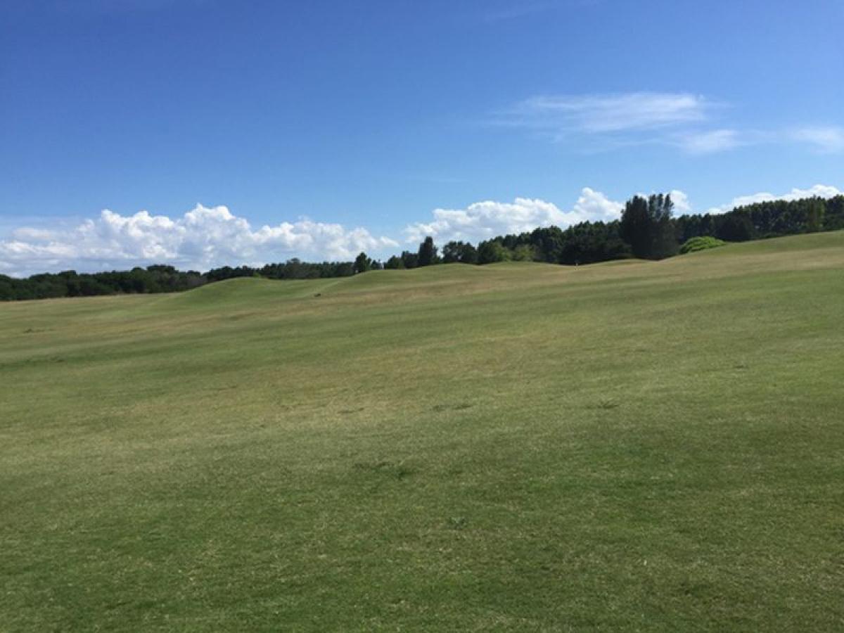 Picture of Residential Land For Sale in Maldonado, Maldonado, Uruguay