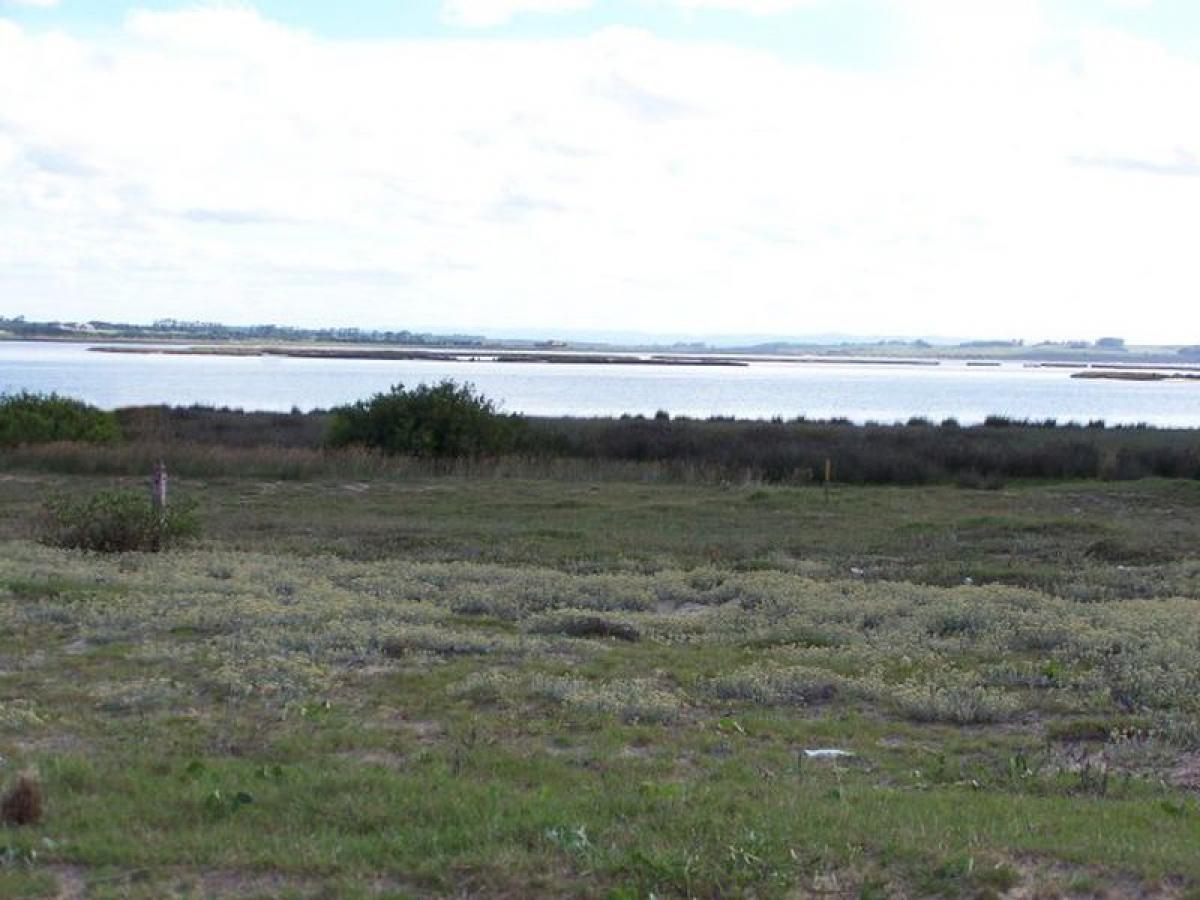 Picture of Residential Land For Sale in Maldonado, Maldonado, Uruguay