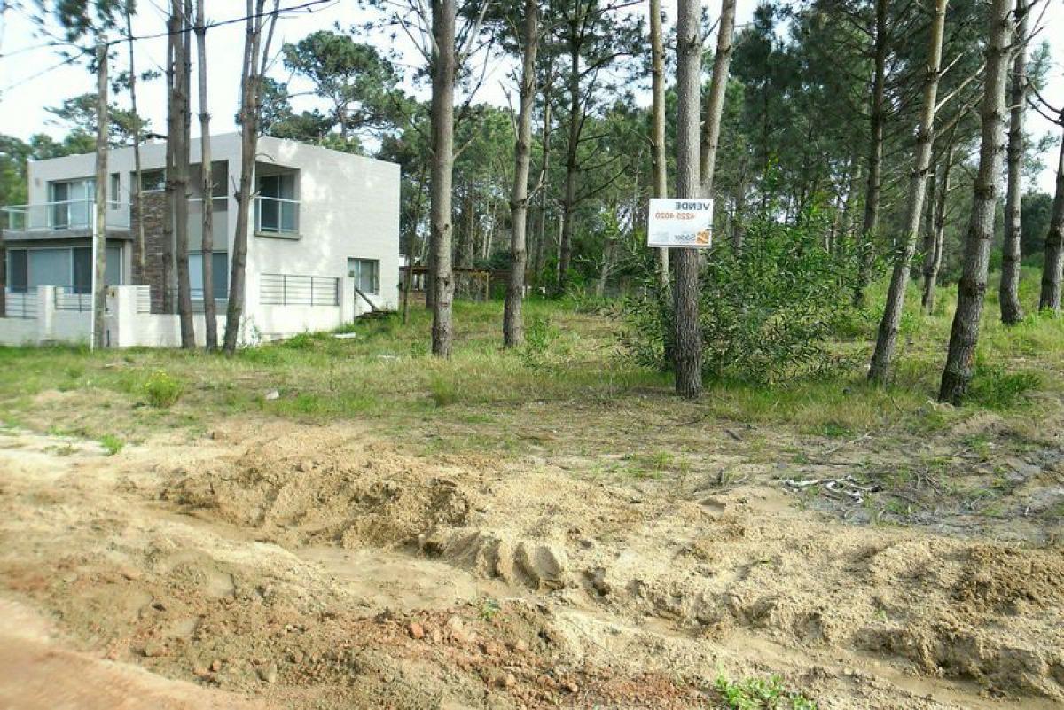 Picture of Residential Land For Sale in Maldonado, Maldonado, Uruguay