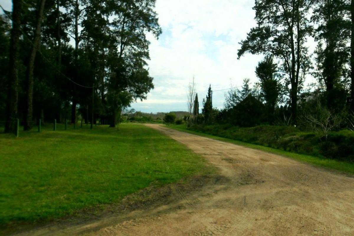 Picture of Residential Land For Sale in Maldonado, Maldonado, Uruguay