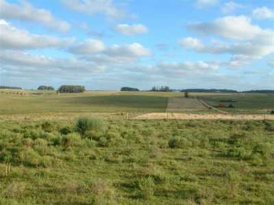 Farm For Sale in Maldonado, Uruguay