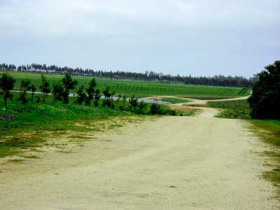 Farm For Sale in Maldonado, Uruguay