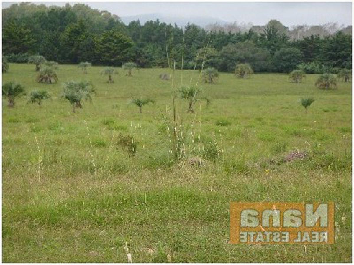 Picture of Farm For Sale in Maldonado, Maldonado, Uruguay