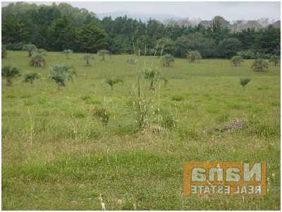 Farm For Sale in Maldonado, Uruguay