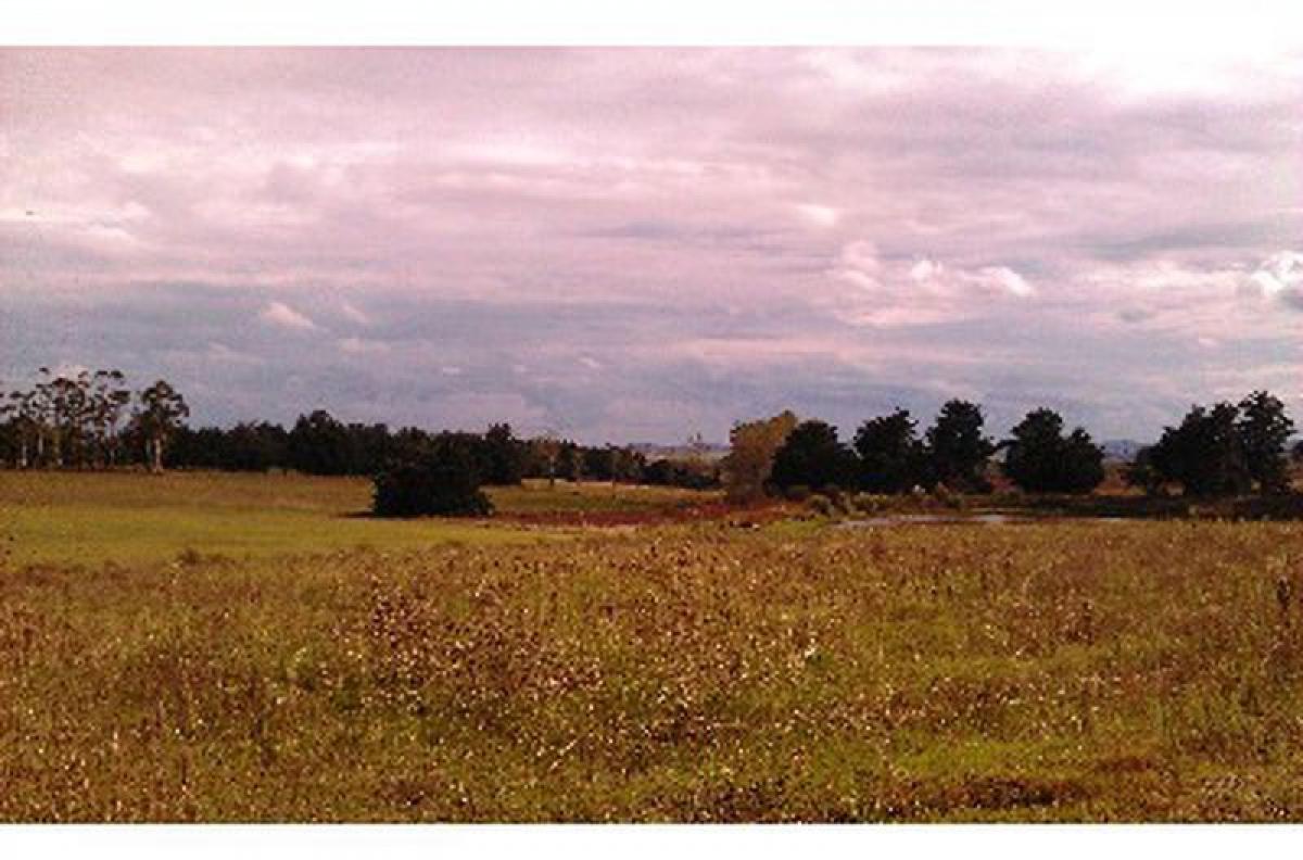 Picture of Farm For Sale in Maldonado, Maldonado, Uruguay