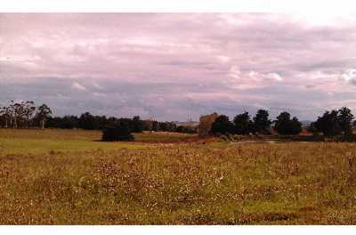 Farm For Sale in Maldonado, Uruguay