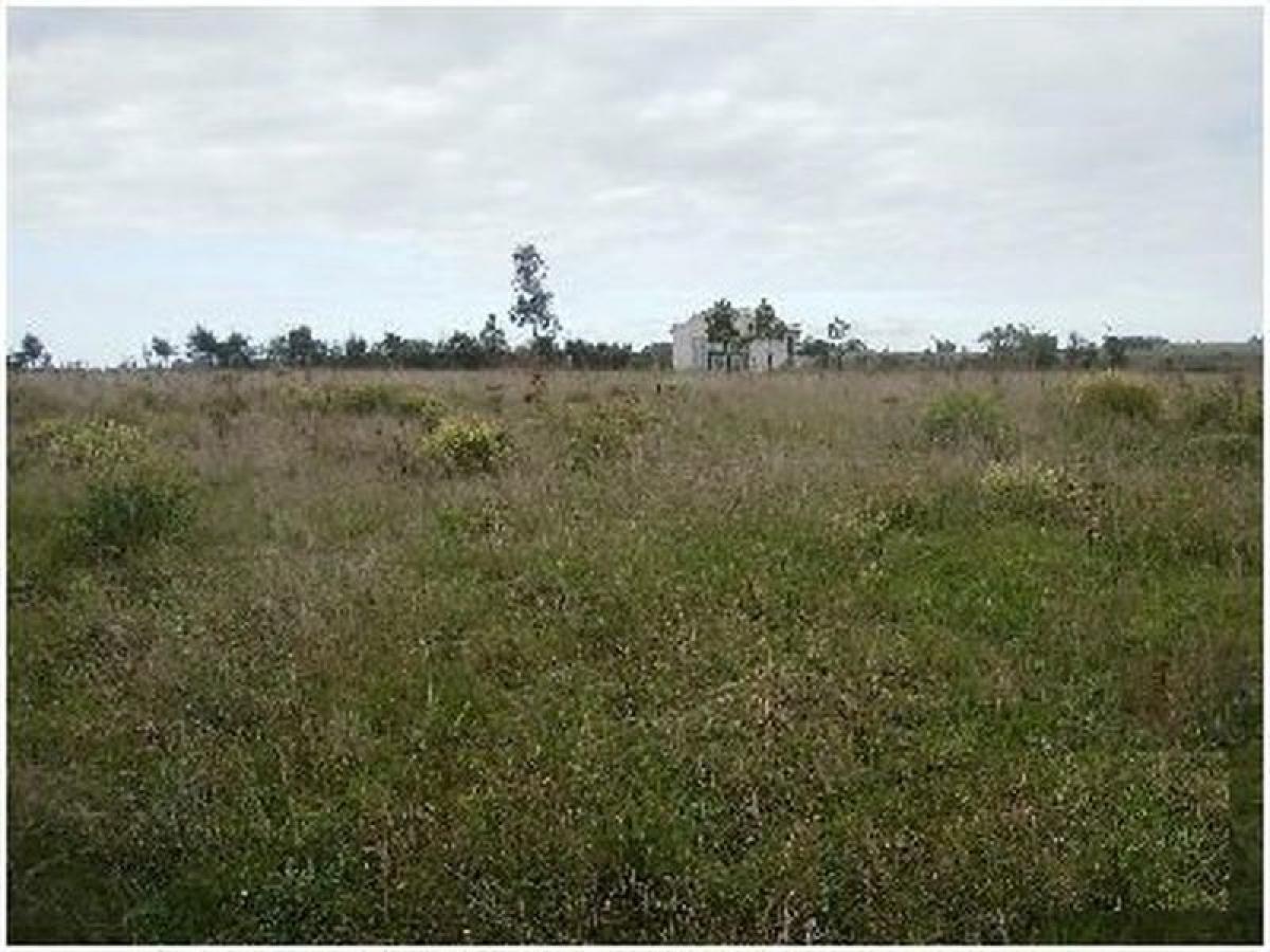 Picture of Farm For Sale in Maldonado, Maldonado, Uruguay
