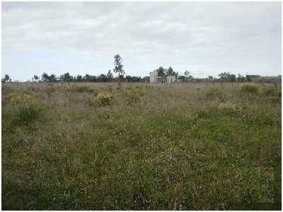 Farm For Sale in Maldonado, Uruguay