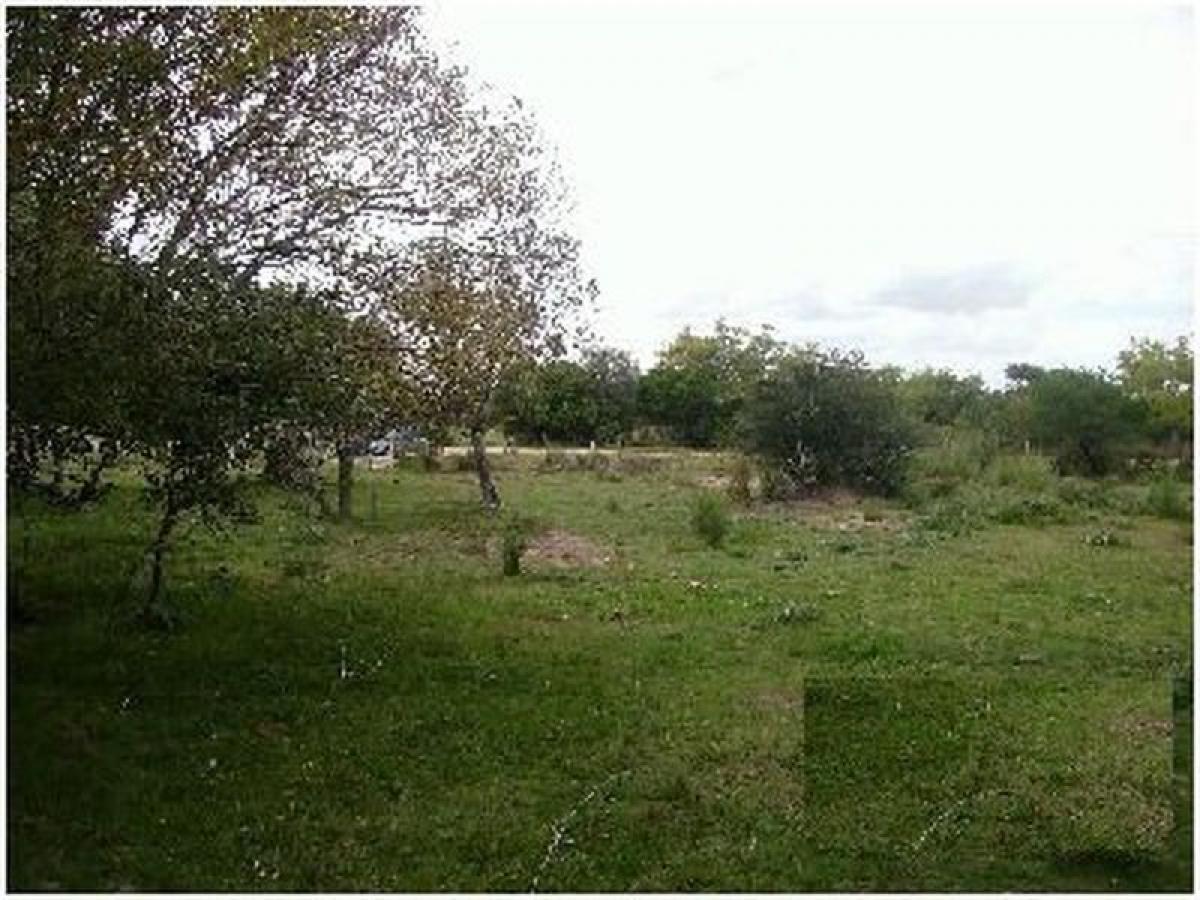 Picture of Farm For Sale in Maldonado, Maldonado, Uruguay