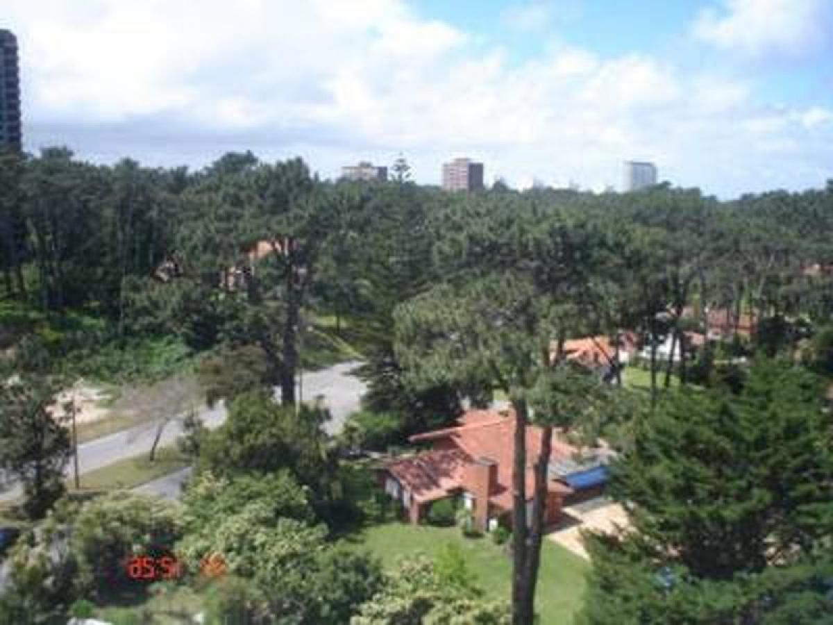 Picture of Apartment For Sale in Maldonado, Maldonado, Uruguay