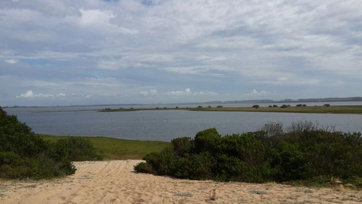 Picture of Residential Land For Sale in Rocha, Rocha, Uruguay