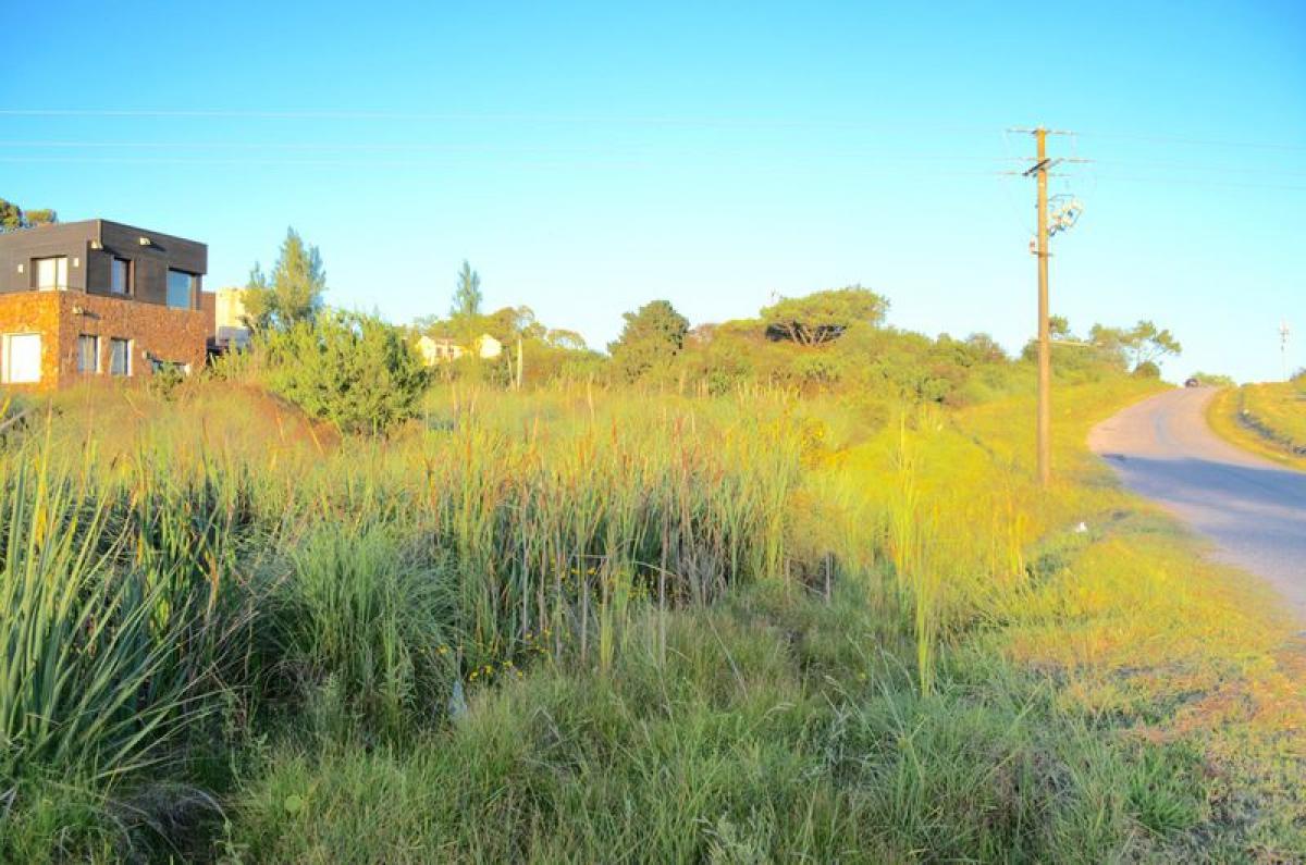 Picture of Residential Land For Sale in Maldonado, Maldonado, Uruguay