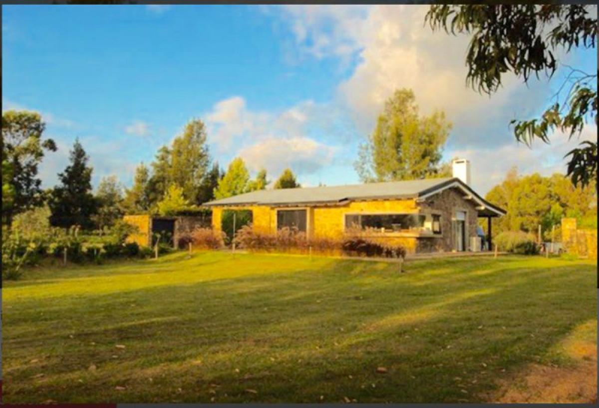 Picture of Farm For Sale in Maldonado, Maldonado, Uruguay