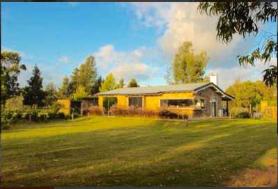 Farm For Sale in Maldonado, Uruguay