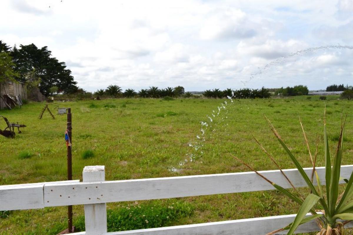 Picture of Farm For Sale in Canelones, Canelones, Uruguay